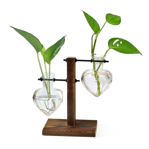 XXXFLOWER Plant Terrarium Wooden Stand, Hydroponic Planter Bulb Glass Metal Swivel Holder Retro Air Plants Water Plants for Home Office Decoration,Gifts for Plant Lover Wife Mom- 2 Love Bulb Vase - size: 2 Love Wooden Stand