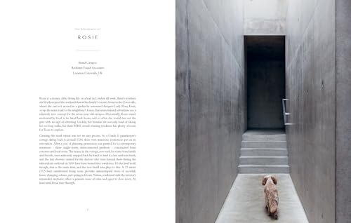 Resident Dog (Volume Two): Incredible Homes and the Dogs Who Live There