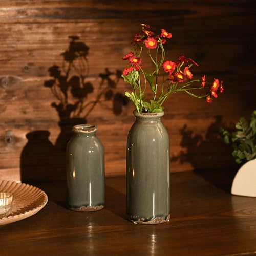 VICTOR & TERESA Blue and Grey Ceramic Vase Home Decor, Farmhouse Vases for Flowers, Flower Vase Set of 2, Rustic Decorative Vases for Pampas Grass, Table, Living Room, Shelf, Centerpieces, 8 inch - color: Blue and Grey