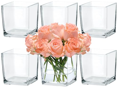CONNOO 6 Pack Square Glass Vase 5" x 5" x 5", Clear Bulk Flower Vases for Centerpieces, Square Glass Cube Vase Floating Candle Holders for Wedding Party Home Decor - size: 6 Pack 5 Inch