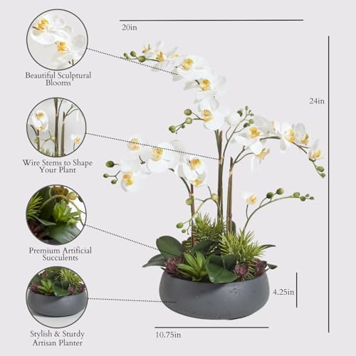 CG Hunter Faux Orchid Plant w/Succulents, Premium Artificial Indoor Flower Display Stands 24” w/Beautiful Sculptural Blooms and Succulents That Lasts Forever, Grey Planter Pot Included - size: 24" White Orchid With Succulents