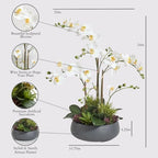 CG Hunter Faux Orchid Plant w/Succulents, Premium Artificial Indoor Flower Display Stands 24” w/Beautiful Sculptural Blooms and Succulents That Lasts Forever, Grey Planter Pot Included - size: 24" White Orchid With Succulents