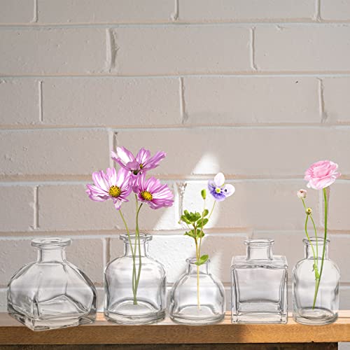 Hedume Set of 10 Small Glass Flower Vases, Clear Glass Bud Vases, Decorative Rustic Floral Vases, Mini Table Floral Vase for Home Decor Centerpieces, Events, Vintage Look