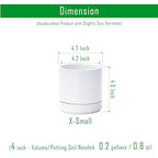 D'vine Dev Set of 4 Small Ceramic Plant Pots, 4.7 Inch Succulent Planter Pot for Plants with Drainage Hole and Saucer, White, 94-X-B-1 - color: White, size: 4.7 Inch