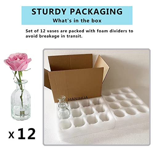 Set of 12 Glass Vases Bud Vases in Bulk, Small Vase for Flowers, Clear Vases Set for Rustic Wedding Decorations, Home Table Flower Decor, Shelf Decor Mini Vases 2.85"X 5.4" - size: 12 Pcs