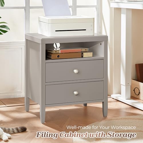 Huuger Grey Nightstand Set of 2, Night Stand with Charger Station, Bedside Table with 2 Drawers, Bed Side Tables for Bedroom, Modern Nightstands, Metal Knobs, Painted Surface - color: Grey