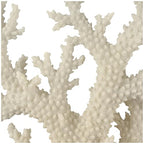 Deco 79 Polystone Coral Decorative Sculpture Home Decor Statue with Clear Acrylic Base, Accent Figurine 21" x 6" x 21", Cream - size: 21" x 6" x 21"