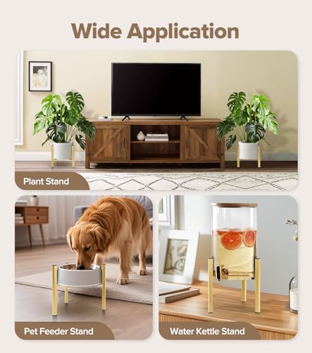 Plant Stand Indoor Adjustable, Metal Modern Indoor Plant Stand, Heavy Duty Plant Stands Outdoor Corner, Stable Plant Holder, Fits 8 to 12 Inches Pots, Gold, 1 Pack, Pot & Plant Not Included - color: Gold, size: 1 Pack