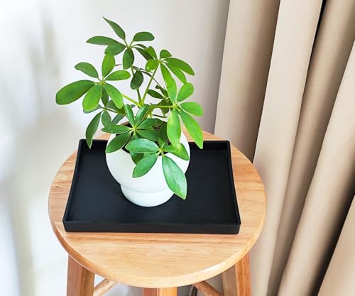 Small Black Mini Serving Tray (8.5 x 6.3 inch) for Serving Accessory, Spa, Coffee, Drinks, Wine, Tea, Bar, Party, Seasoning, Perfume or Display Use. - color: Black-1 Tray, size: 8.5" x 6.3" x 0.8"