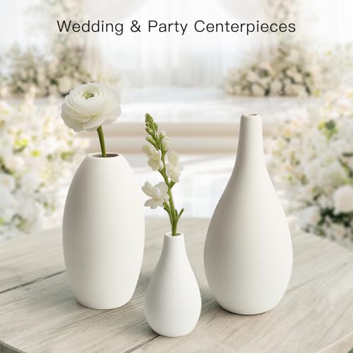 BEAHOT Ceramic Vases Set of 3, Modern Decorative Flower Vases for Living Room - size: 3 set