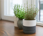 D'vine Dev Set of 2 Plants Pots, 4.7 Inch Ceramic Planter Pot for Plants with Drainage Hole and Saucer, White/Speckled Grey, 94-V-B-6 - color: White/Speckled Grey, size: 4.7 Inch