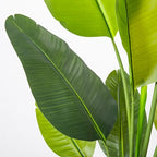 HAIHONG Bird of Paradise Artificial Plant 5FT, Faux Tropical Palm Tree with White Tall Planter, Large Fake Plants in Pot - Artificial Tree for Home Office Living Room Decor Indoor