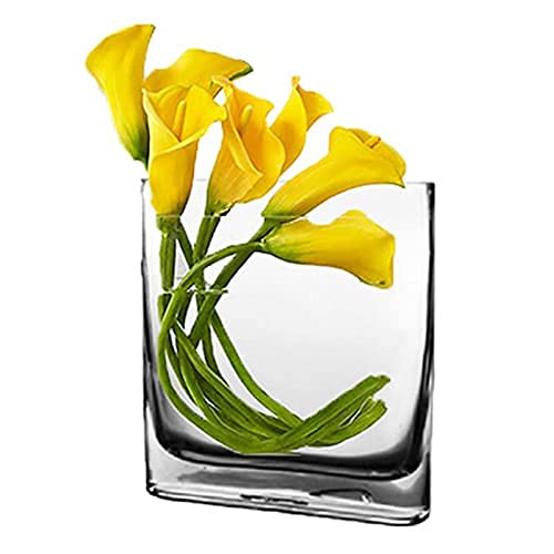 CYS EXCEL Glass Book Vase (H:8" Open:7"x2") Round Edge Oval Flower Vase Rectangular Wedding Centerpiece - size: H-8" Open-7"x2"