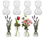 Garden Guru Plant Propagation Stations - Clear Glass Bud Vases Set of 8 - Mini Vases for Wedding Centerpieces, Cafe Décor, Tea Shop Displays - Small Hydroponic & Flower Vase - size: Set of 8