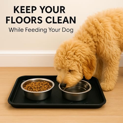 2 Pack Boot Tray & Shoe Mat for Entryway – 16.5" x 12.5" Floor Protector for Wet & Muddy Shoes, Pets, Plants – Waterproof Plastic with Raised Edge for Indoor/Outdoor Use (Black) - color: Black