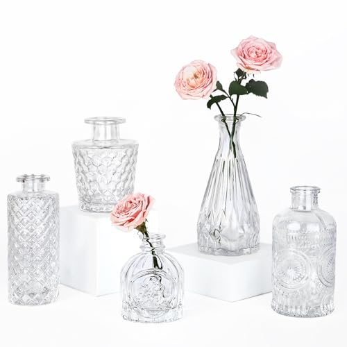 TBWIND Glass Bud Vase Set of 5, Small Clear Flower Vases for Centerpieces in Bulk, Mini Vintage Vase for Wedding Decor, and Home Table Décor - color: 5pcs-clear