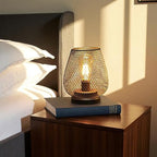 JHY DESIGN Metal Cage LED Lantern Battery Powered Cordless Accent Light with LED Great for Weddings Parties Patio Events for Indoors Outdoors - style: Single bronze egg