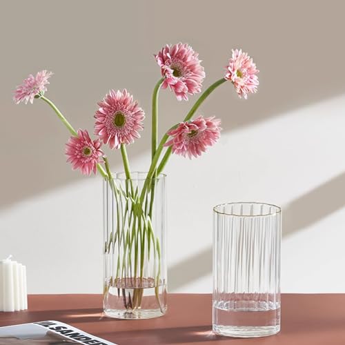 Gute 6 Inch Glass Vases for Decor, Flower Vase for Home Decor, Modern Decorative Clear Vase Centerpieces Living Room, Kitchen - size: 6inch