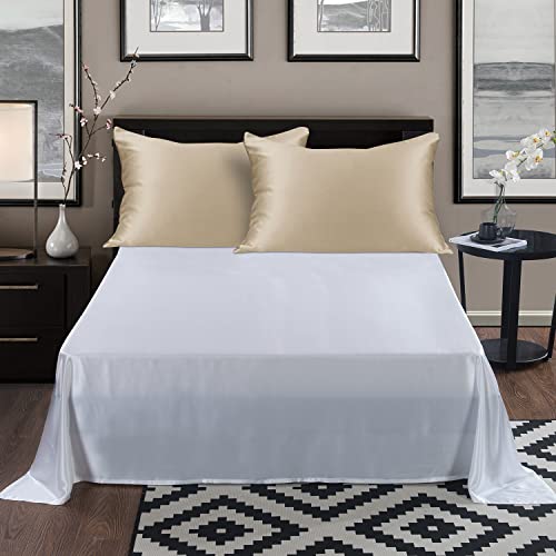 ALASKA BEAR Natural Silk Pillowcase, Hypoallergenic, 19 Momme, 600 Thread Count 100 Percent Mulberry Silk, Queen Size with Hidden Zipper (1,Champagne Gold) - color: Champagnegold, size: Queen 20''x30''