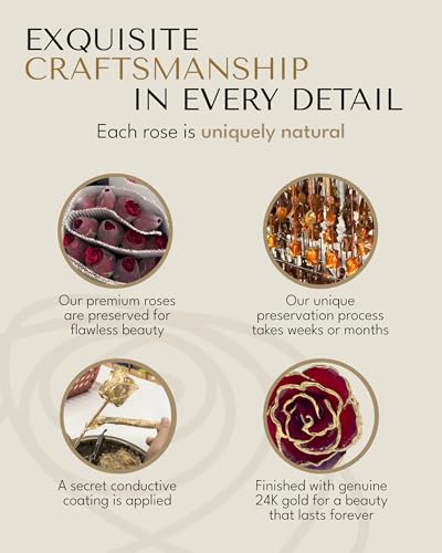 Forever Rose Hand-Dipped in 24K Gold, Ruby Red-Inspired July Birthstone with Sparkles, Real Rose in Luxury Gold Gift Box & Clear Glass Bud Vase –Perfect Ready to Gift for July Birthday or Any Occasion - color: July Ruby