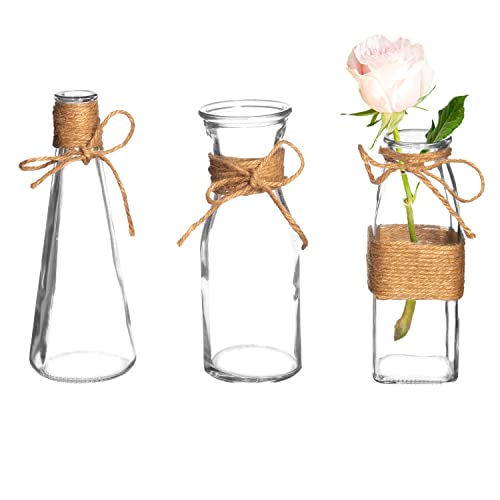 Royal Imports Clear Glass Bottle Bud Vase, Small Single Stem Flower Centerpiece, Mini Decorative Floral Jars, Rustic Farmhouse Home Decor, Kitchen, Fireplace, Shelf, Narrow One Rose Holder, Set of 3 - size: Large (Set of 3)