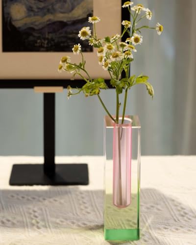 Acrylic Vase, Bud Vase for Centerpieces, Unique Eclectic Decor Cute Flowers Vases for Modern Home, Office, Bedroom, Living Room, Dining Table (Pink, Green) - color: Pink, Green