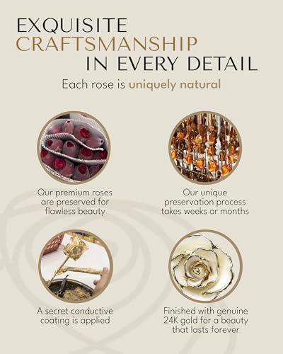 Forever Rose Hand-Dipped in 24K Gold, White Pearl-Inspired June Birthstone, Real Rose in Luxury Gold Gift Box & Clear Glass Bud Vase – Perfect Ready to Gift for June Birthday or Any Occasion - color: June Pearl