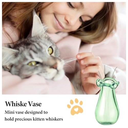 Ymapinc 1.1inch Tiny Cat Whisker Vase Holder, Glass Vase Miniature Decor Dollhouse Garden DIY Succulents, Cute Clear Decoration Jar, Transparent Green Blue Gray Tea - color: Green+blue+gray+brown