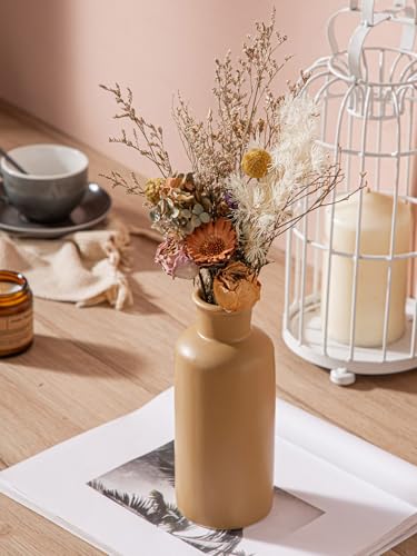 CWLWGO-Ceramic Vase Set of 3,Small Vases for Home Decor,Farmhouses Decorative vase,Suitable for Shelf Decor,Living Room Table Bookcase Fireplace Decorations.Multicolored. - color: Blown