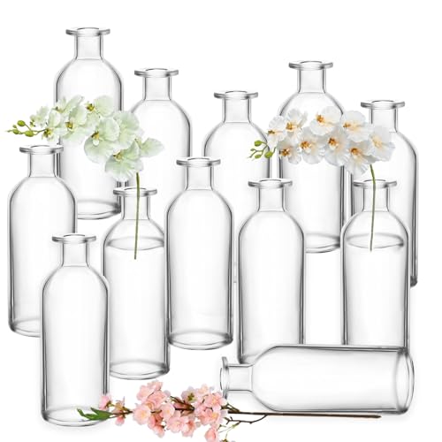 Nexboraque 12 Pack Glass Bud Vases, Clear Small Vases in Bulk Decorative Glass Flower Bottles for Table Centerpiece, Home Decor, Office, Wedding Reception