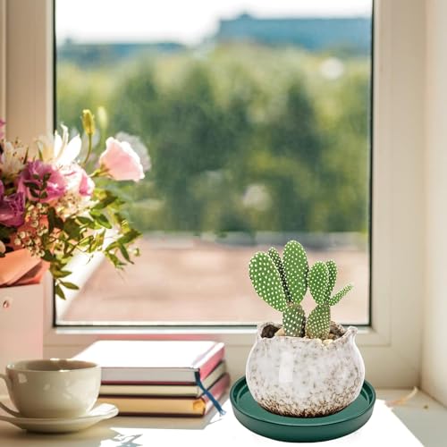 2 Pack Ceramic Plant Saucer Pot Tray 7 Inch, Planter Saucers 4 5 6 7 8 9 10 11 12 13 Inch for Indoors Outdoor, Durable Sturdy Flower Drainage drip Water Tray for Glazed Pots Base (7 Inch-Green) - color: Green, size: 7in 2pack