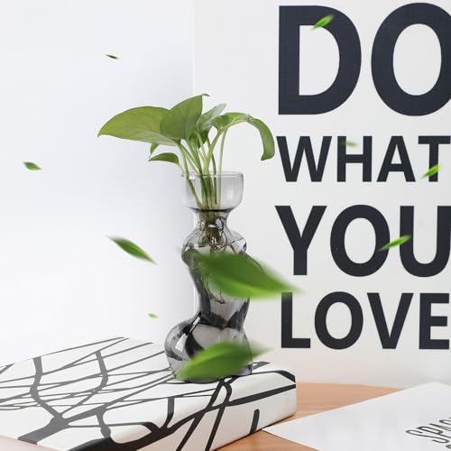 Propagation Vases for Plants Plant Propagation Jars Unique Body Avocado Vase Glass Planter Perfect for Seed Starting Water Rooting and Home Decor Gift for Father - color: Gray