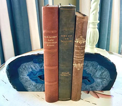 AMOYSTONE Natural Blue Agate Bookends, Heavy-Duty Multi-Purpose Book Ends for Shelves, Decorative Crystal Book Stopper, 4-6 LBS, Perfect for Office Bookcase - color: Blue, size: 4-6 Pounds
