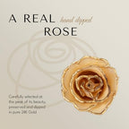 Forever Rose Hand-Dipped in 24K Gold, Diamond-Inspired April Birthstone with Sparkles, Real Rose in Luxury Gold Gift Box & Clear Glass Bud Vase – Perfect Ready for April Birthday or Any Occasion - color: April Diamond