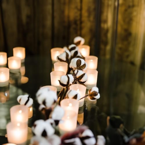 WGV Frosted Tea Light Votive Candle Holder 2.2x2.75, Tiny Utility Cylinder Glass Vase, Small Planter Terrarium for Home Accent Decor, 1 Pc - color: Frost-cylinder-2.75"