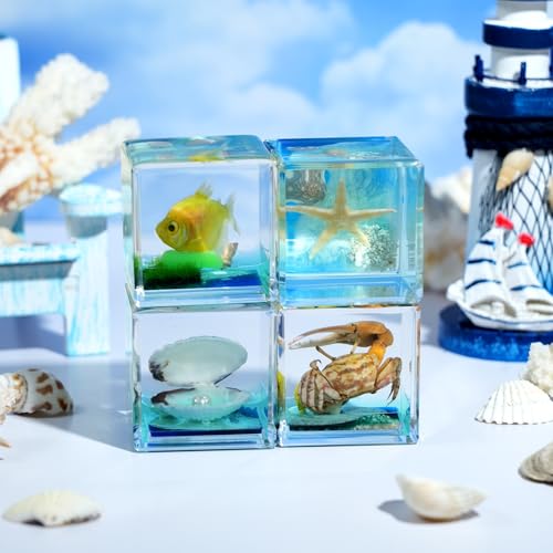 4Pcs Marine Taxidermy in Resin, Interesting Square Marine Microlandscape Specimen Set for Back-to-School Gift Oddities Paperweights Scientific Education Supplies（1.57x1.57 inch） - color: Marine Animals A