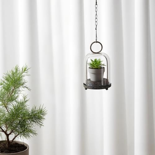 7.5" High Versatile Modern Metal Hurricane Lantern with Handmade Sturdy Glass Dome in Rustic Brown for 2" Pillar Candle & Plants, Industrial, Farmhouse, Shabby Chic (Brown, 4" x7.5 for 2" Pillar) - color: Brown, size: 4"x7.5"
