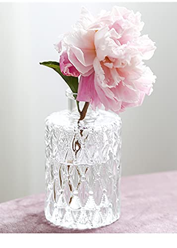 Mini Clear Glass Vase,Small Flower Bud Vase Hydroponics Planter Decorative for Flower,Table,Party,Home,Centerpieces(Clear 6) - color: Clear 6