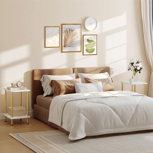HOOBRO End Table, Small Side Table, Nightstand with 2-Layer Storage Shelves, Sofa Table for Small Spaces, Living Room, Bedroom, Stable Frame, Easy Assembly, Gold and Marble DM09BZ01 - color: Marble + Gold