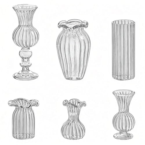 H&D HYALINE & DORA 6 Pcs Mini Glass Flower Vases Cat Whisker Vase Clear Miniature Ribbed Vases for Centerpieces, Wedding Reception Table Decorations(1.2-2.5 in)