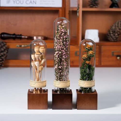 3Pcs Dried Flower Decor,Knick Knacks for Shelves,Cool Stuff for Bookshelf,Small Plants Decor for Office Shelves,Natural Green Plants Boho Shelf Decor,Apothecary Decor,Unique Gifts for Women,Friends - color: Romantic Pink Trio,3-piece Set