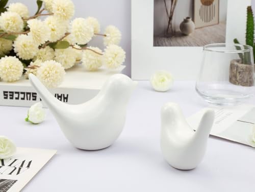 LAIDANLA Small Birds Statues White Modern Style Home Decor Birds Small Animal Sculpture for Living Room Office Desktop Shelf Coffee Table Bedroom（2pcs） - color: C-white