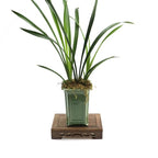 Wooden Display Stand Base 6.69" x 4.33" Rectangle Wood Carved Pedestal Oriental Style Home Decoration for Vase, Flower Pots, Teapot, Table Lamp, Fishbowl - style: Rectangle