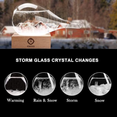 Storm Glass Weather Predictor - Drop-Shaped Forecast Home/Office Desktop Decoration, Christmas Snow Globe for Family Friends Unique Christmas Gifts, Weather Globe Science Decor