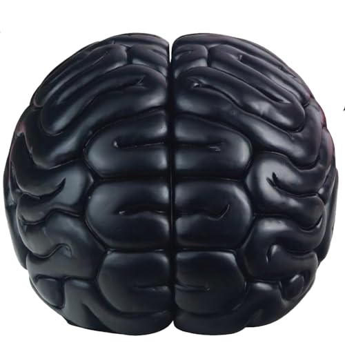 Brain Bookends, 6.5Inch Tall Brain Decorative Resin Book Shelf Organizers Book Holders Shelf Dividers Book Ends for Home or Office Shelves Brain Sculpture Bookend Set
