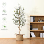 Kazeila Artificial Olive Tree 5FT Tall Faux Silk Plant for Home Office Decor Indoor Fake Potted Tree with Natural Wood Trunk and Lifelike Fruits - size: 5ft