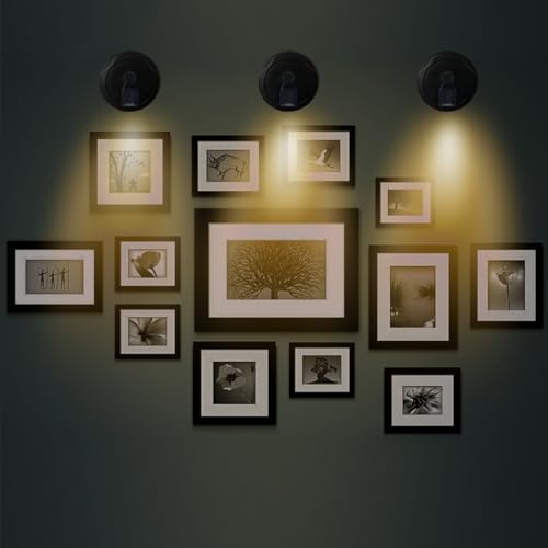 Battery Operated LED Spotlight, Picture Spot Lights, Indoor Uplighting, Puck Lights with Remote, Plants Tree Spotlight, Display Light for Paintings Dartboard Portrait Frame-Black - color: Black