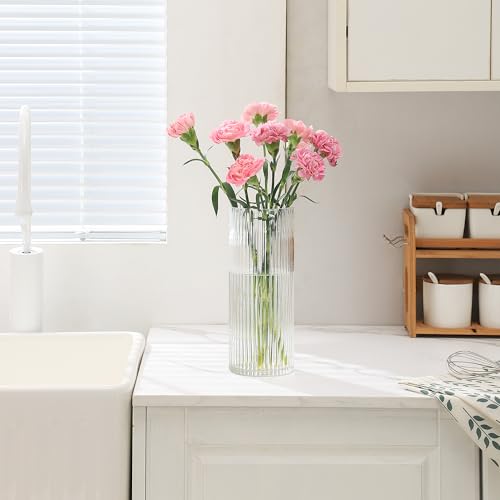Clear Glass Vase, Glass Flower Vase, Ribbed Glass Vase, Clear Vase, Tall Cylinder Glass Vases for Centerpieces, Living Room, Dining Table, Office, Wedding, Bookshelf Decoration, 9.8 Inches - color: Clear, size: 10''
