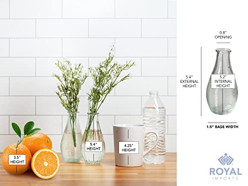 Royal Imports Clear Glass Bottle Bud Vase, Small Single Stem Flower Centerpiece, Mini Decorative Floral Jars, Rustic Farmhouse Home Decor, Kitchen, Fireplace, Shelf, Narrow One Rose Holder, Set of 4 - size: Medium (Set of 4)