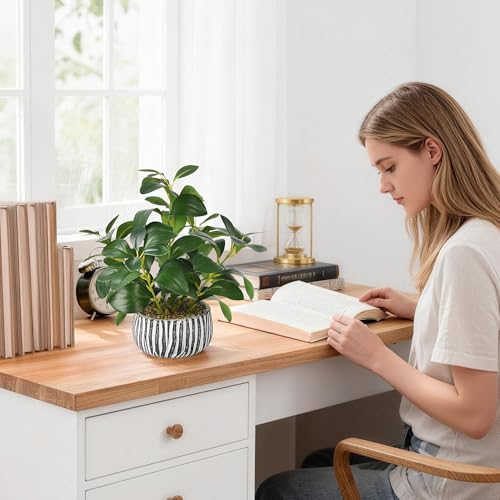 florisso Artificial Succulents with Fig Leaf Greenery in Rustic Clay Planter, Fake Succulents Potted Decor for Farmhouse, Bathroom, Bedroom, Kitchen, Office Desk and Coffee Table (Black White) - color: White & Black Cement Planter